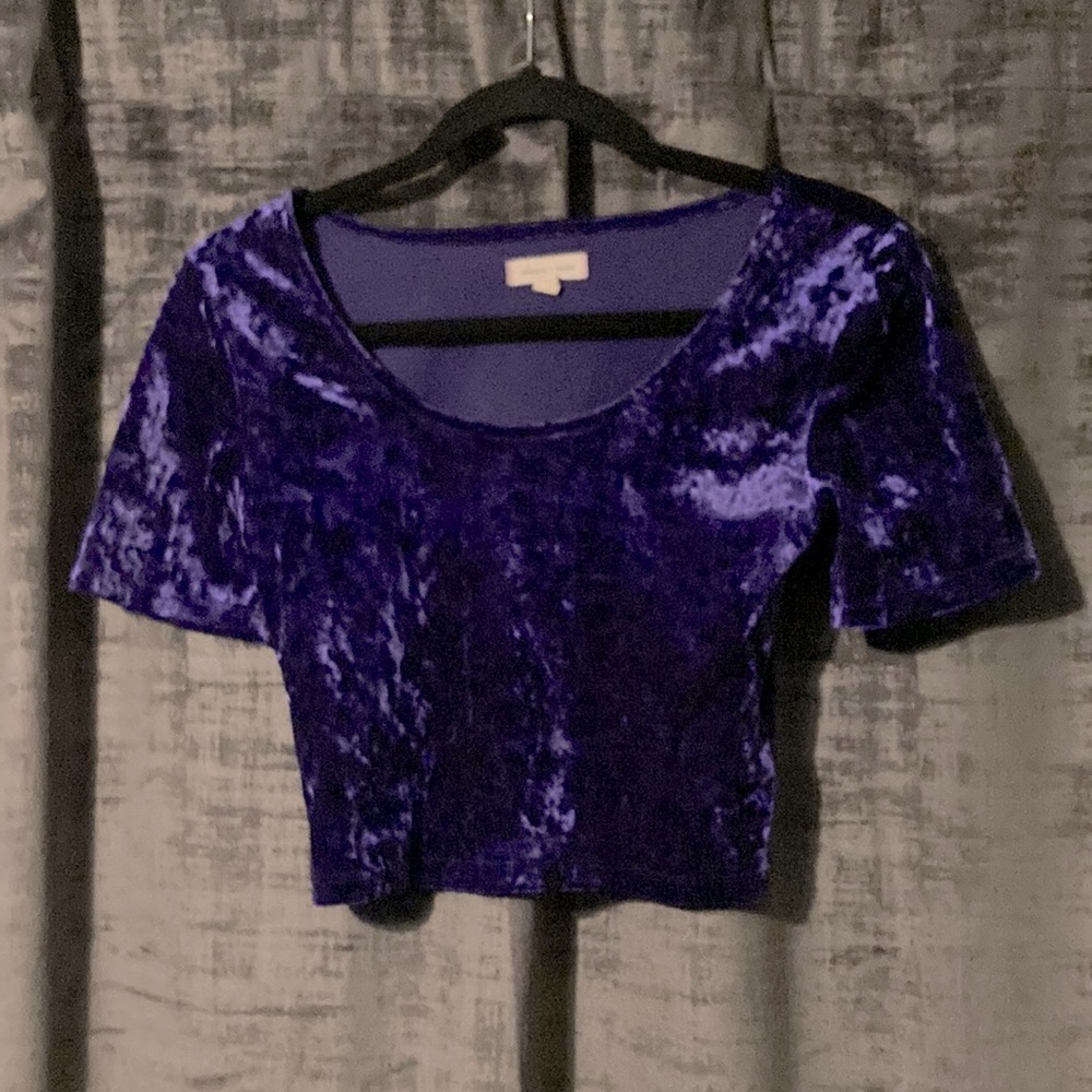 Urban Outfitters Purple Velvet Crop Top